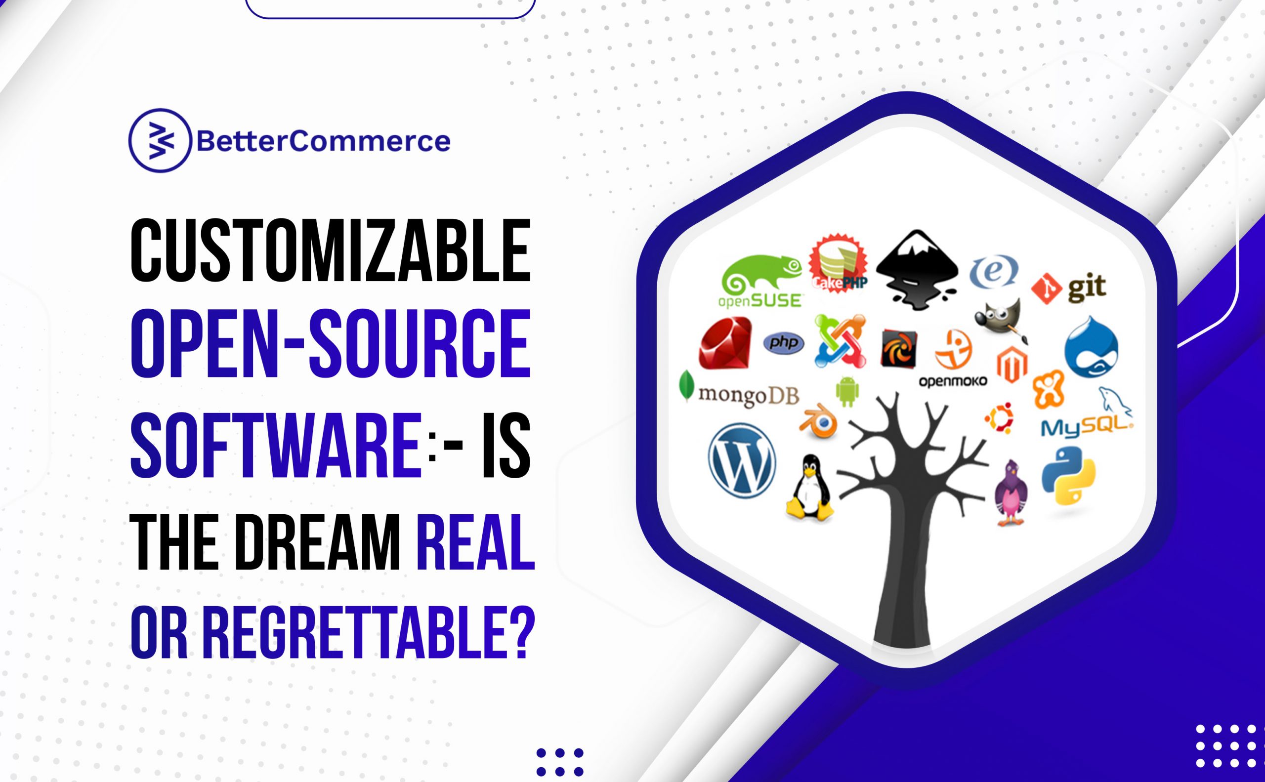 Customizable Open-Source Software:- Is the Dream Real or Regrettable?